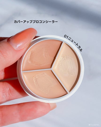 カバーアッププロコンシーラー/TFIT/パレットコンシーラーを使ったクチコミ(2枚目)