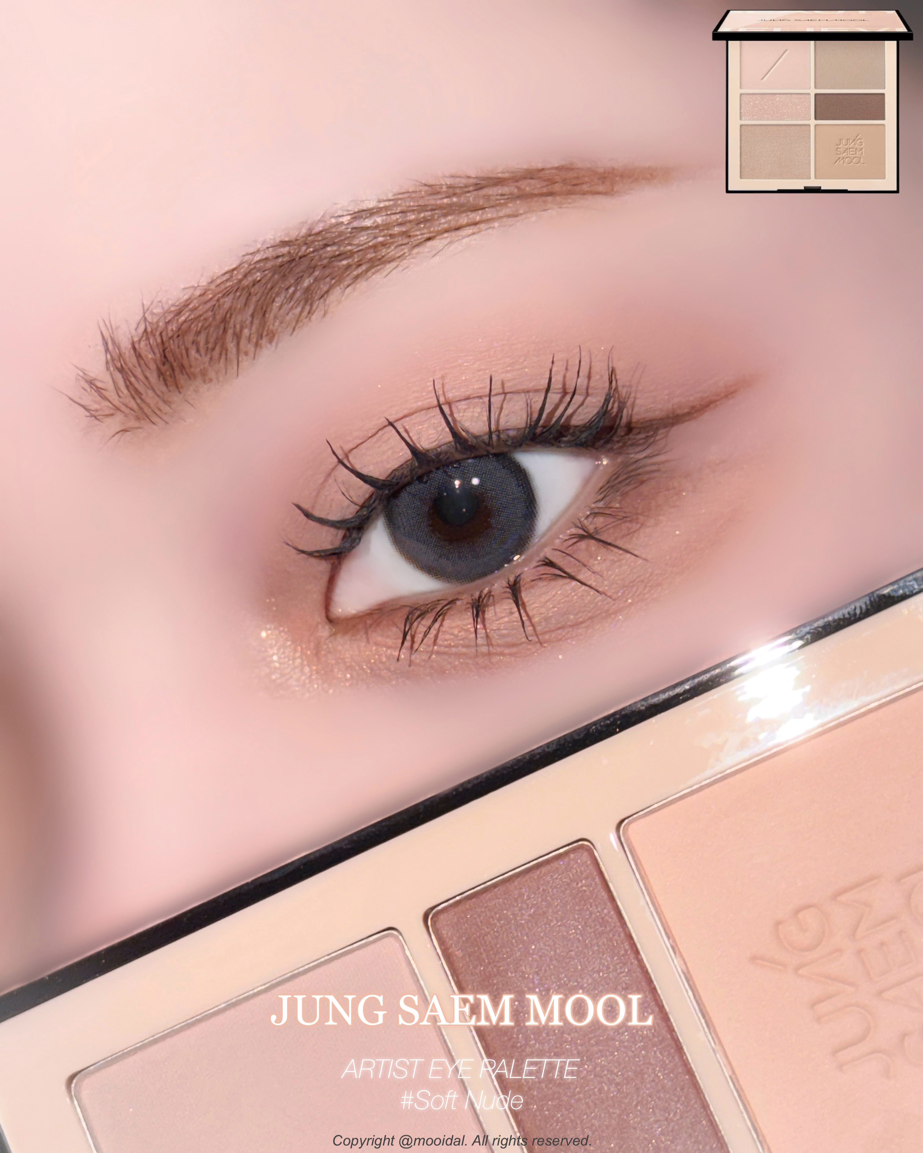 アーティストアイパレット/JUNG SAEM MOOL/アイシャドウパレットを使ったクチコミ（1枚目）