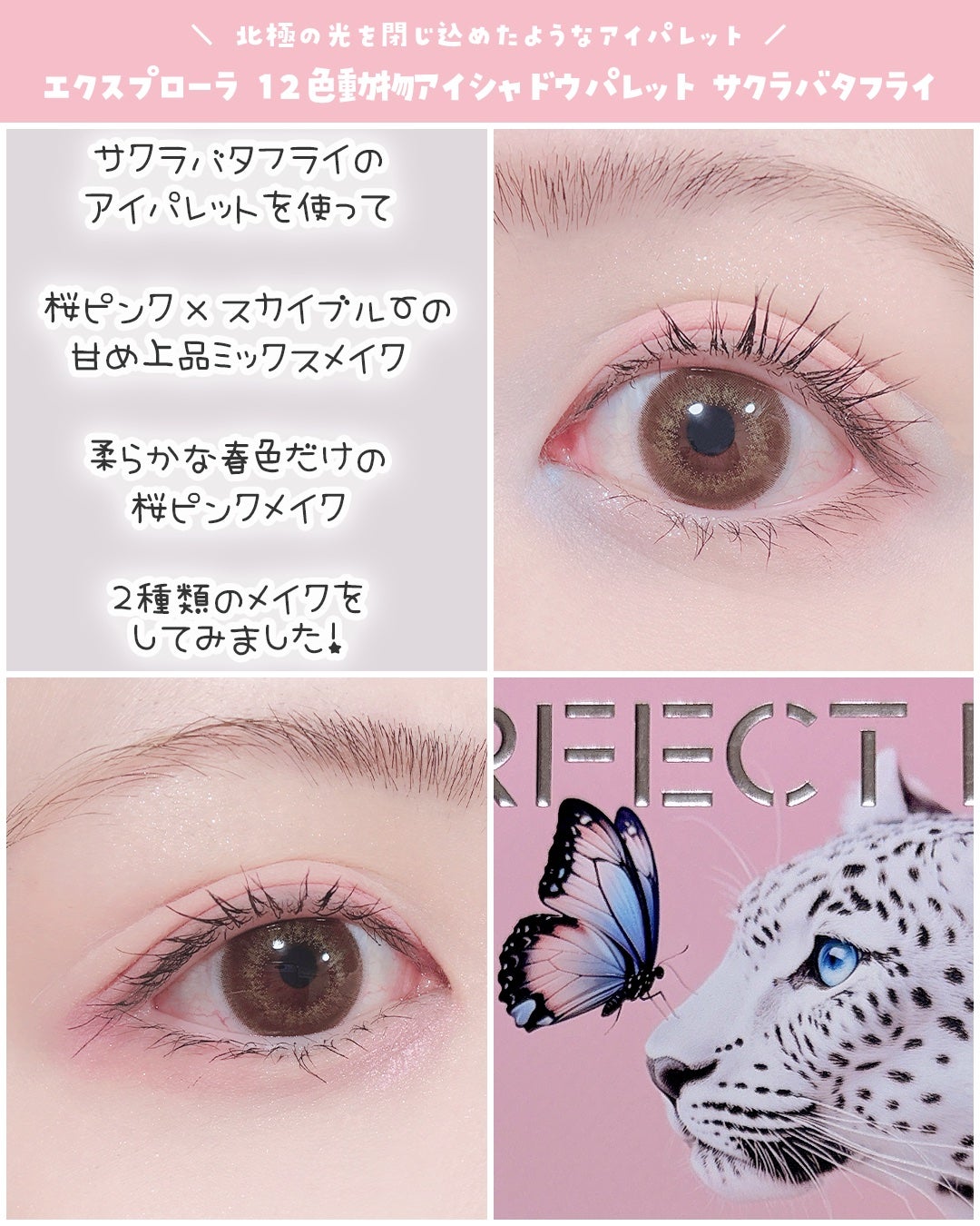 エクスプローラ12色 動物アイシャドウパレット/PERFECT DIARY/アイシャドウパレットを使ったクチコミ(3枚目)