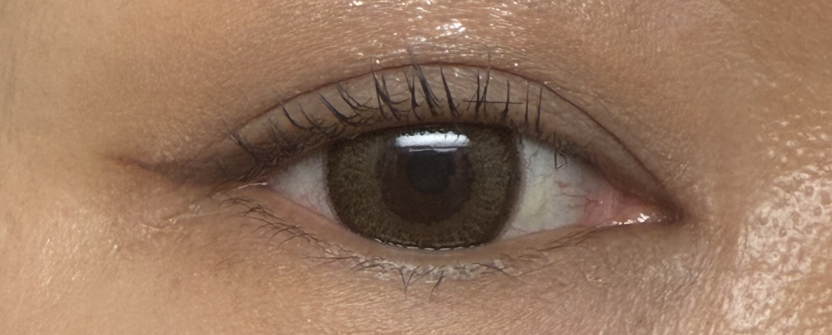 フィット my カラーパレット 03 autumn/STEIASUR（ステイアシュール）/マルチパレットを使ったクチコミ（3枚目）