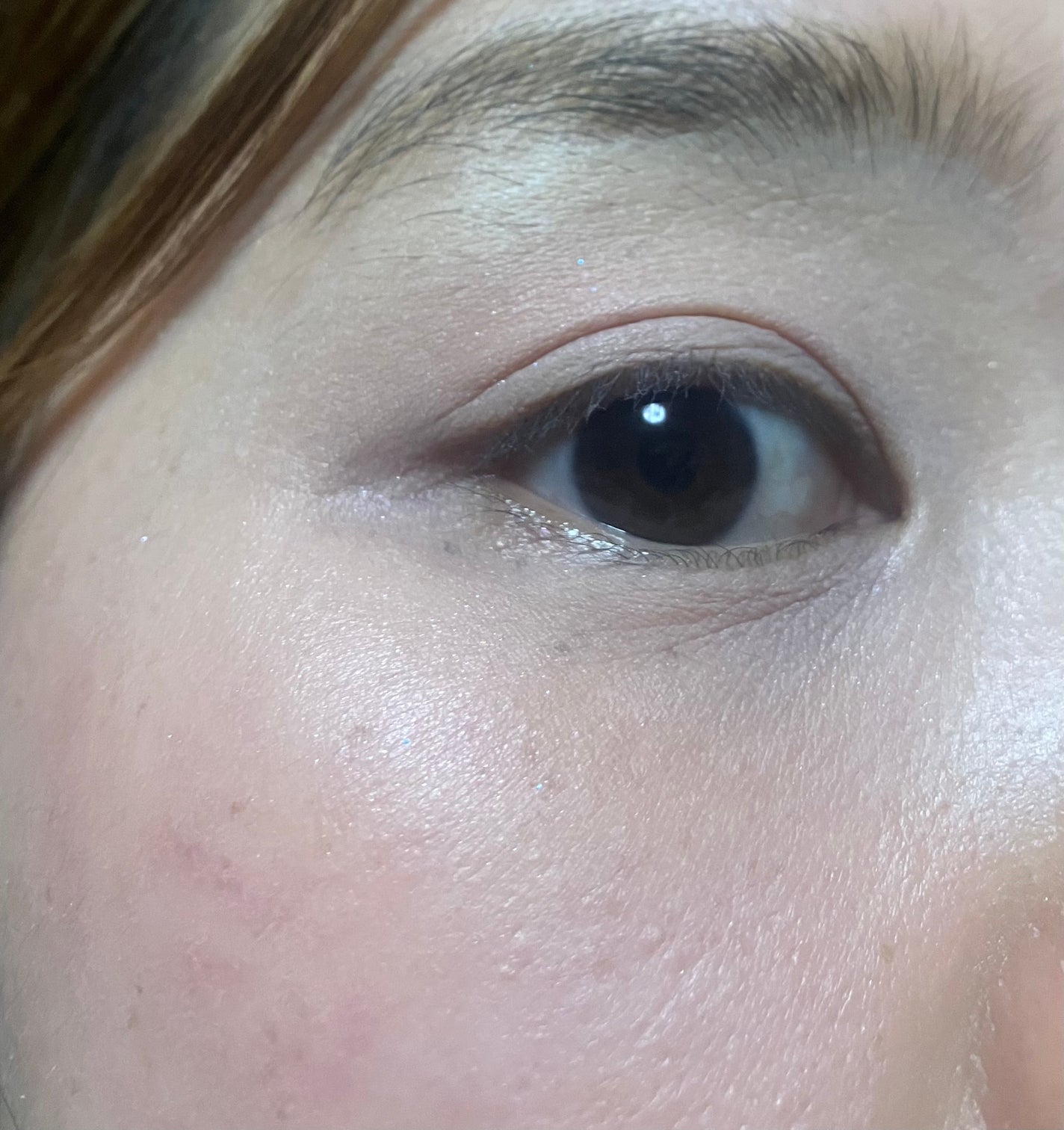 バウンシーチークシャドウ/KATE/マルチパレットを使ったクチコミ(5枚目)