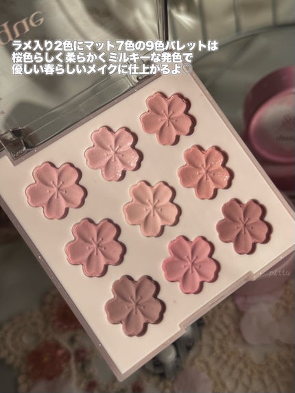 シャドウパレット/dasique/アイシャドウパレットを使ったクチコミ(3枚目)