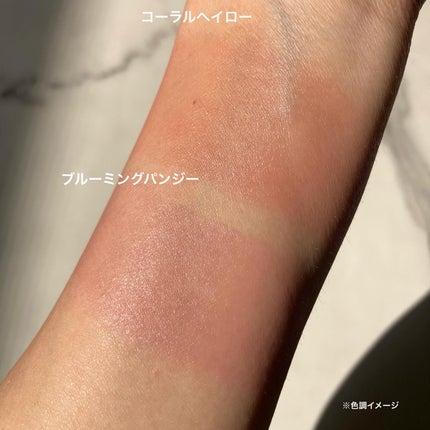 アーティストクッションブラッシュ/JUNG SAEM MOOL/リキッドチークを使ったクチコミ(4枚目)