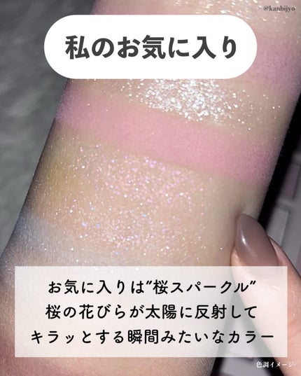 エクスプローラ12色 動物アイシャドウパレット/PERFECT DIARY/アイシャドウパレットを使ったクチコミ(8枚目)