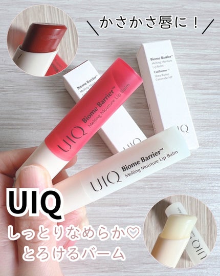 バイオームバリアメルティングモイスチャーリップバーム/UIQ/リップバームを使ったクチコミ(1枚目)