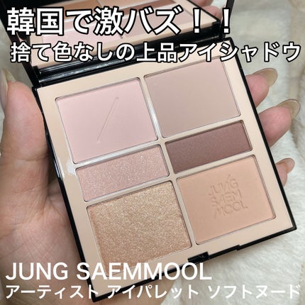 アーティストアイパレット/JUNG SAEM MOOL/アイシャドウパレットを使ったクチコミ(2枚目)