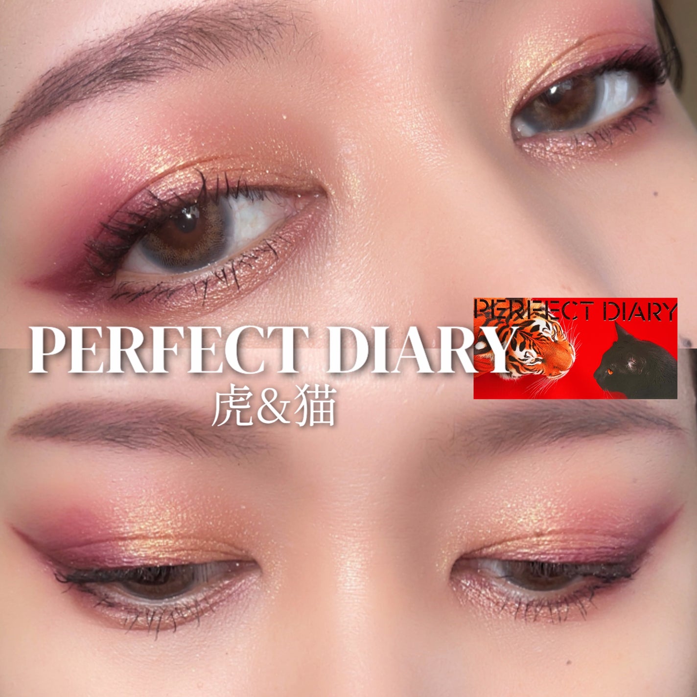 エクスプローラ12色 動物アイシャドウパレット/PERFECT DIARY/アイシャドウパレットを使ったクチコミ(1枚目)