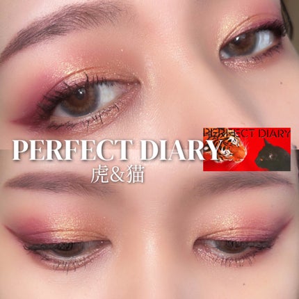 エクスプローラ12色 動物アイシャドウパレット/PERFECT DIARY/アイシャドウパレットを使ったクチコミ(1枚目)