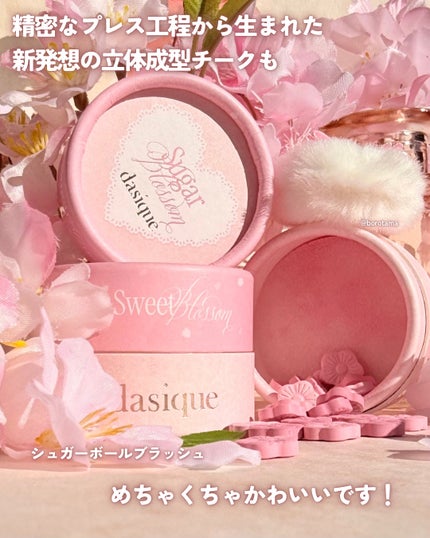 シャドウパレット/dasique/アイシャドウパレットを使ったクチコミ(6枚目)