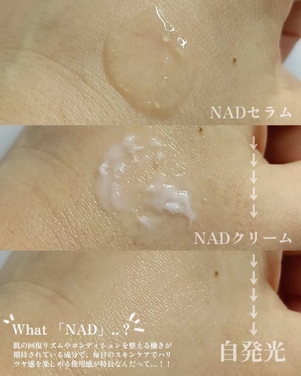 NADプリズセル™ グロウパワーセラム/BIOHEAL BOH/美容液を使ったクチコミ(2枚目)