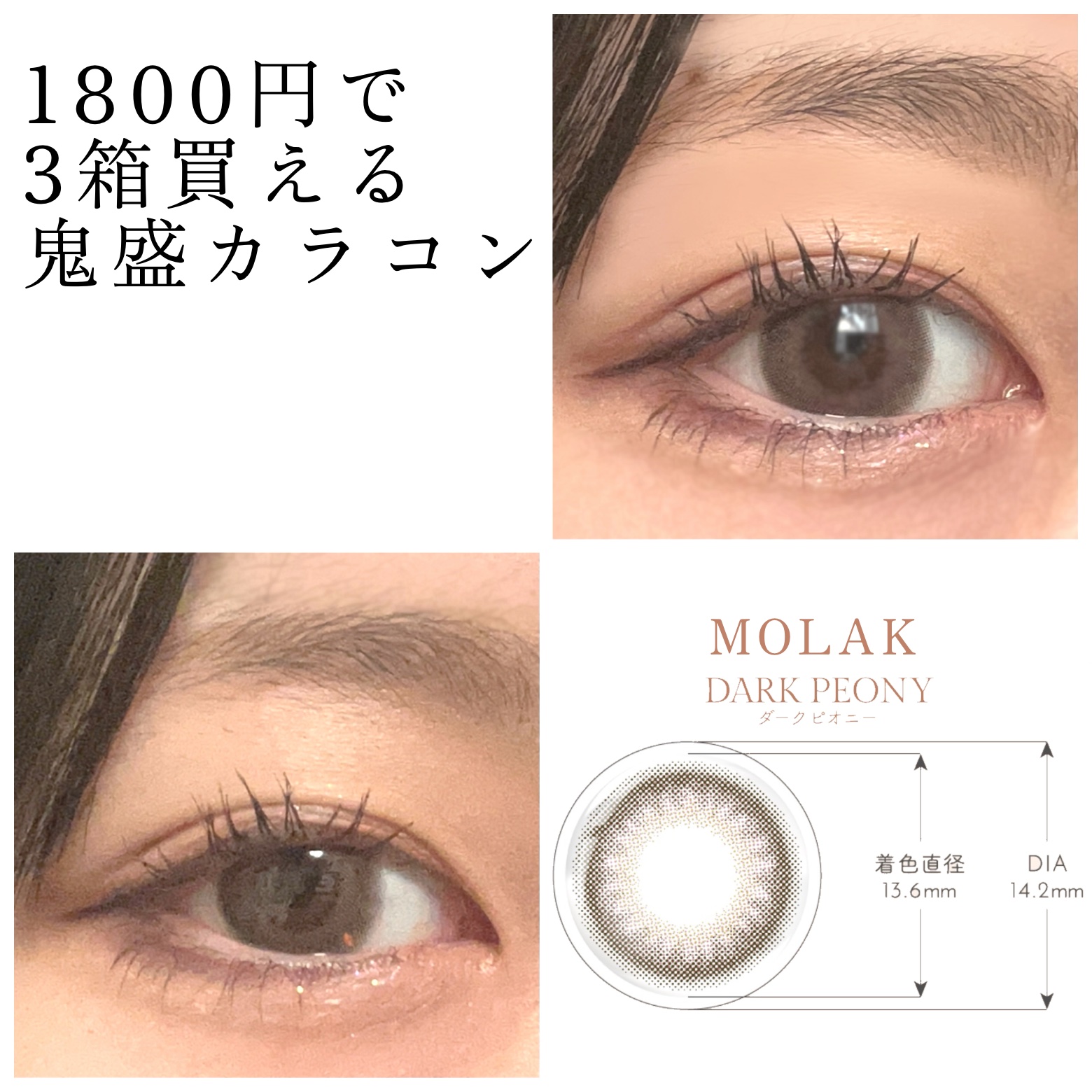 MOLAK 1day/MOLAK/ワンデー（１DAY）カラコンを使ったクチコミ（1枚目）