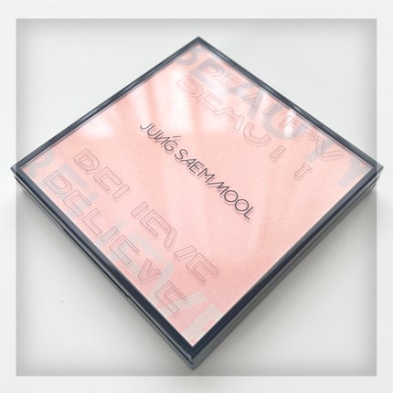 アーティストアイパレット/JUNG SAEM MOOL/アイシャドウパレットを使ったクチコミ(2枚目)