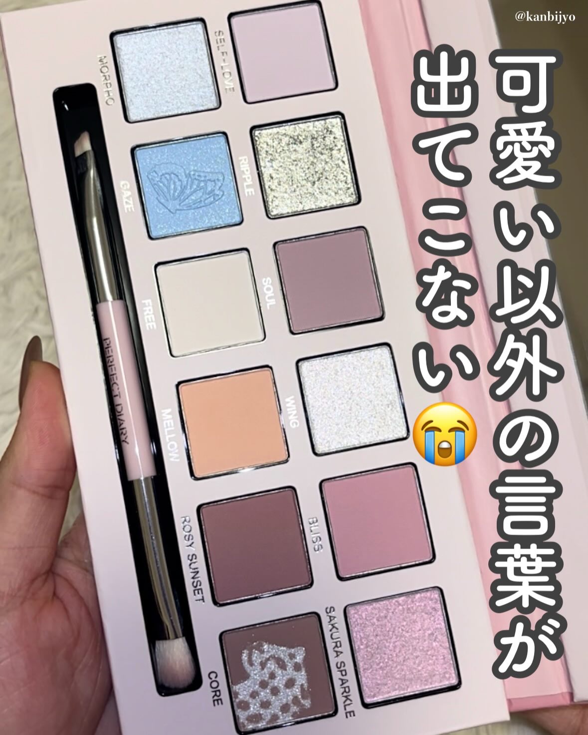 エクスプローラ12色 動物アイシャドウパレット/PERFECT DIARY/アイシャドウパレットを使ったクチコミ（3枚目）