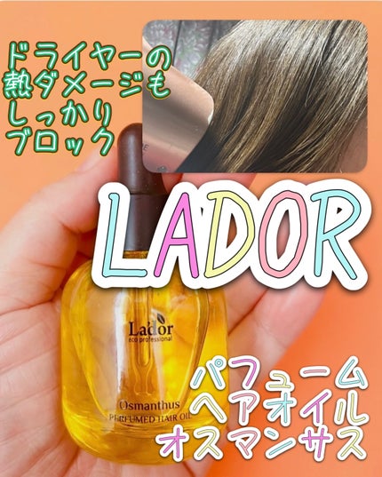 パフュームヘアオイル オスマンサス/La'dor/ヘアオイルを使ったクチコミ(1枚目)