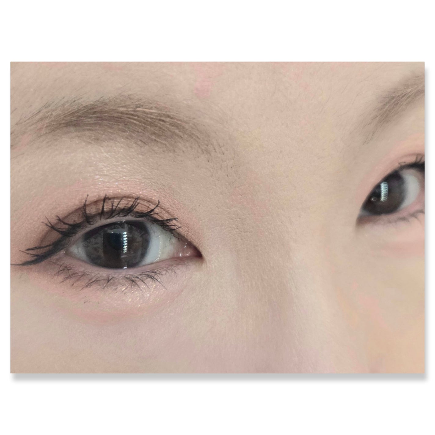 ジルリーン チョコレートアイシャドウ/jill leen./アイシャドウパレットを使ったクチコミ(2枚目)