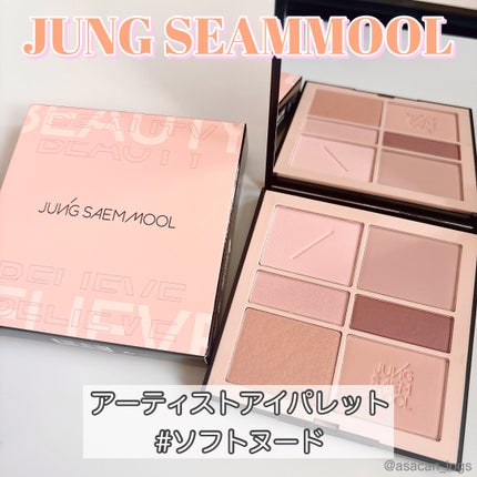 アーティストアイパレット/JUNG SAEM MOOL/アイシャドウパレットを使ったクチコミ(1枚目)