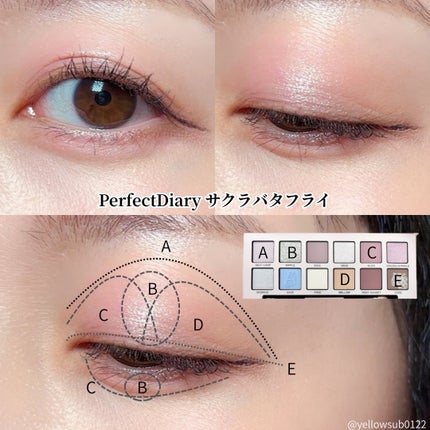 エクスプローラ12色 動物アイシャドウパレット/PERFECT DIARY/アイシャドウパレットを使ったクチコミ(3枚目)