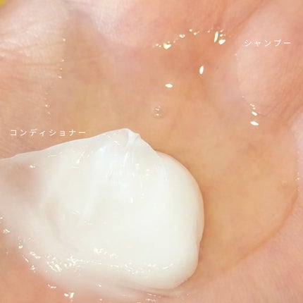 Seika 全 コンディショナー/王子製薬/コンディショナー単品を使ったクチコミ(2枚目)