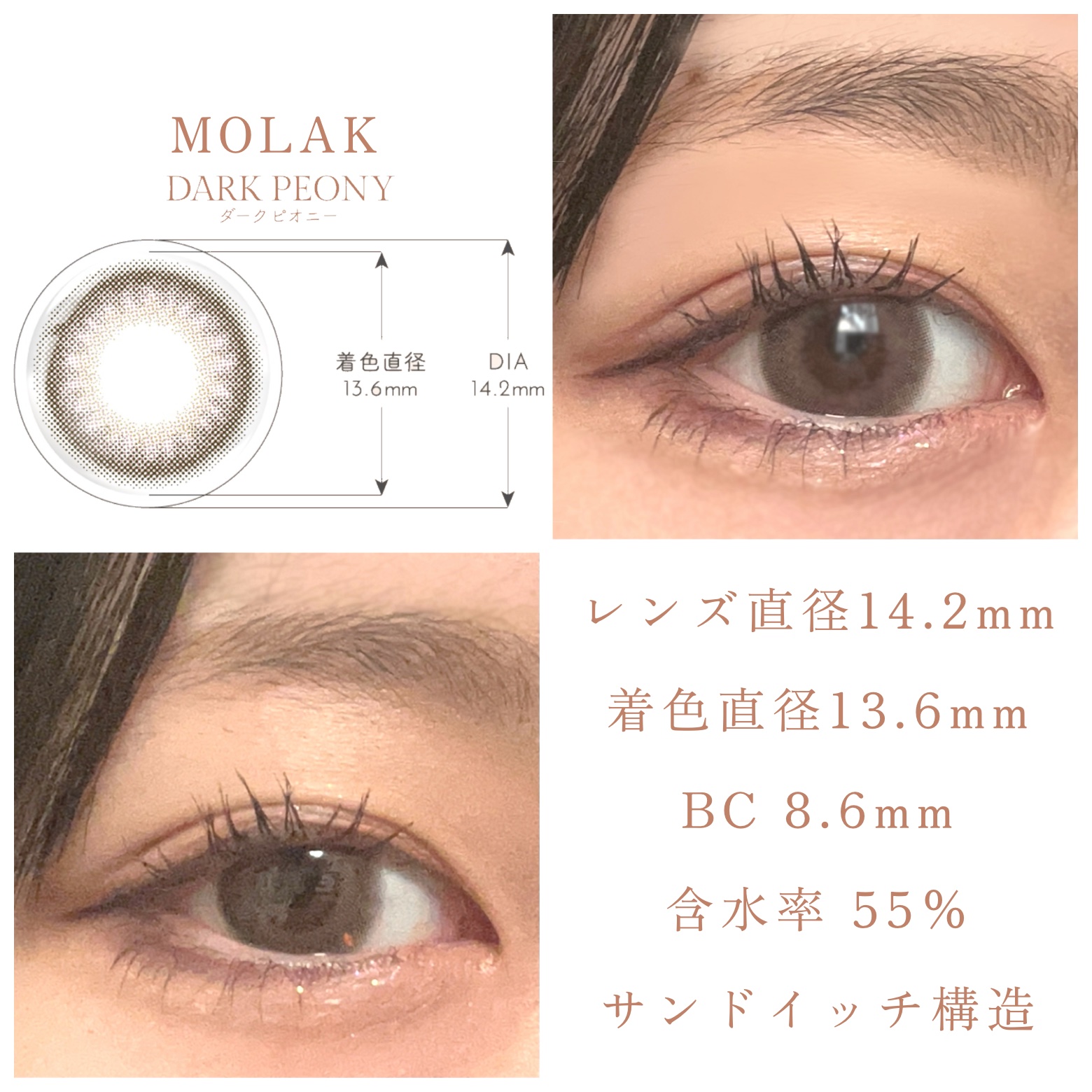 MOLAK 1day/MOLAK/ワンデー（１DAY）カラコンを使ったクチコミ（2枚目）