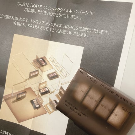 ケイト メロウブラウンアイズ/KATE/アイシャドウパレットを使ったクチコミ(5枚目)