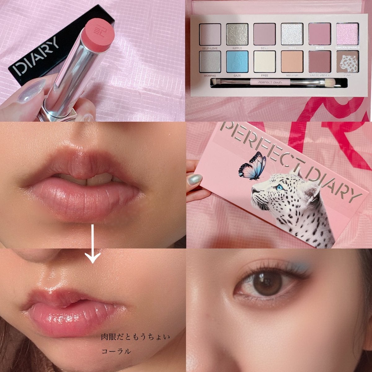 エクスプローラ12色 動物アイシャドウパレット/PERFECT DIARY/アイシャドウパレットを使ったクチコミ（2枚目）