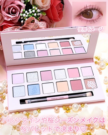 エクスプローラ12色 動物アイシャドウパレット/PERFECT DIARY/アイシャドウパレットを使ったクチコミ(3枚目)