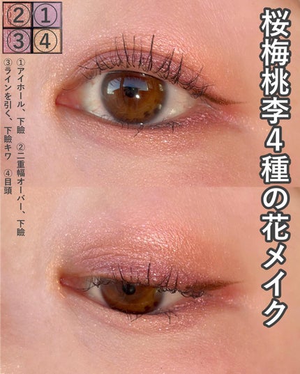 シグニチャー カラー アイズ/SUQQU/アイシャドウパレットを使ったクチコミ(5枚目)