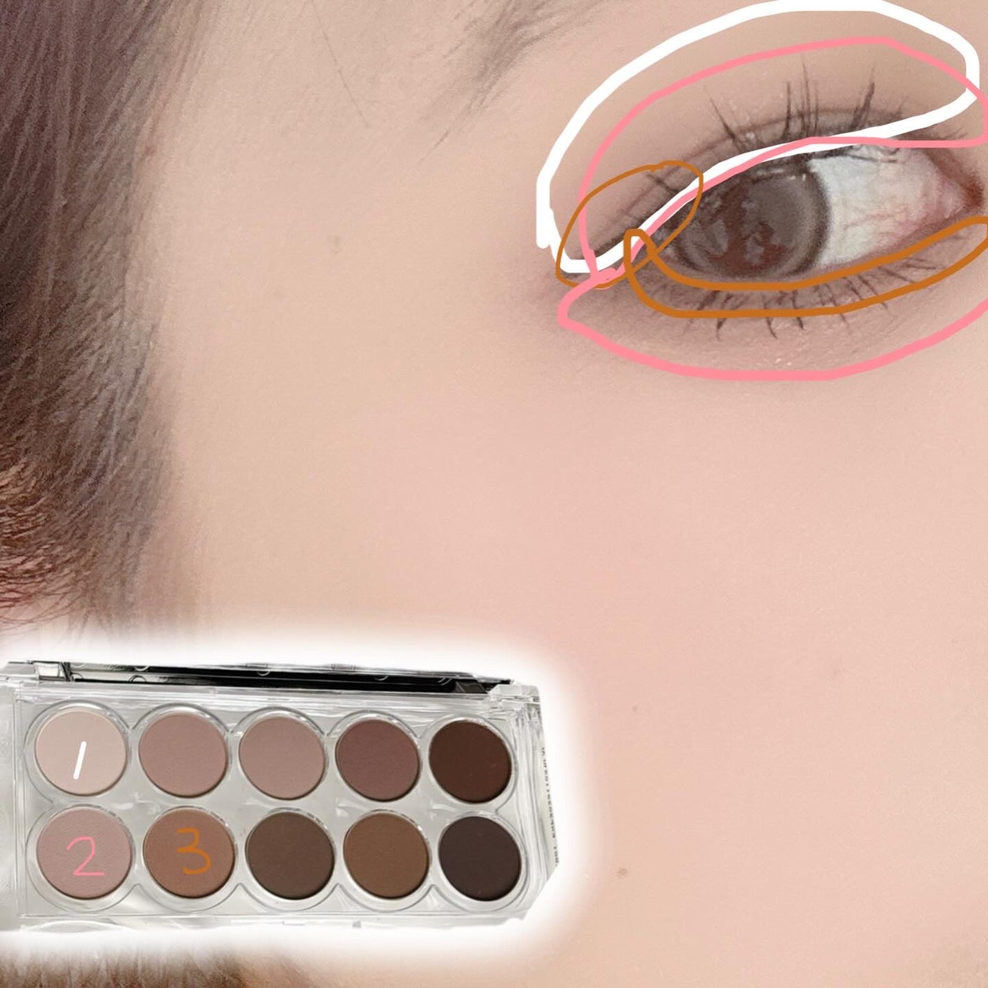 ライトオンアイズシャドウパレット/ルミル/アイシャドウパレットを使ったクチコミ(3枚目)