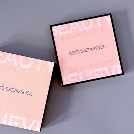 アーティストアイパレット/JUNG SAEM MOOL/アイシャドウパレットを使ったクチコミ(4枚目)