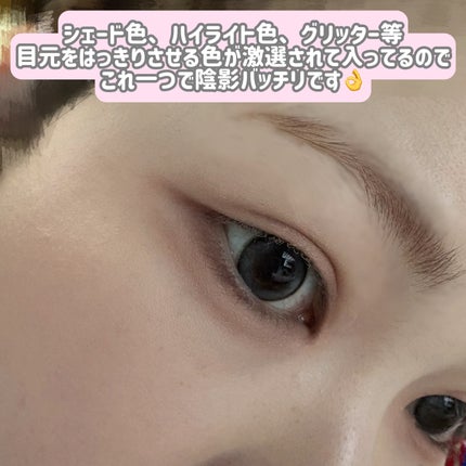 アーティストアイパレット/JUNG SAEM MOOL/アイシャドウパレットを使ったクチコミ(3枚目)