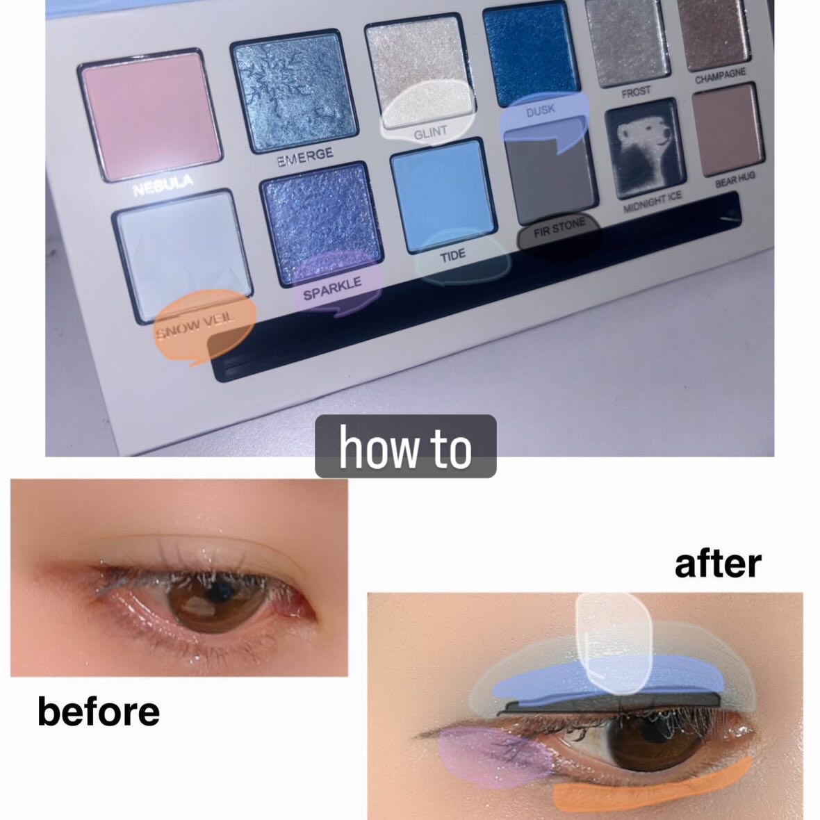 エクスプローラ12色 動物アイシャドウパレット/PERFECT DIARY/アイシャドウパレットを使ったクチコミ（3枚目）