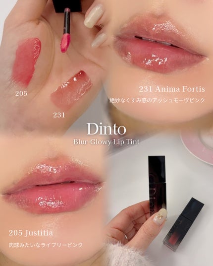 ブラーグロイリップティント/Dinto/リップティントを使ったクチコミ(2枚目)