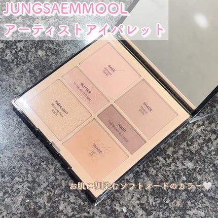 アーティストアイパレット/JUNG SAEM MOOL/アイシャドウパレットを使ったクチコミ(2枚目)