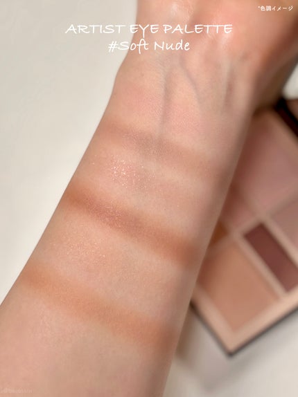 アーティストアイパレット/JUNG SAEM MOOL/アイシャドウパレットを使ったクチコミ(2枚目)