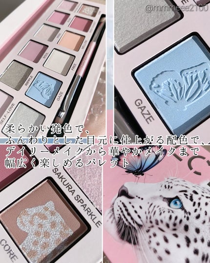 エクスプローラ12色 動物アイシャドウパレット/PERFECT DIARY/アイシャドウパレットを使ったクチコミ(2枚目)