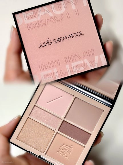 アーティストアイパレット/JUNG SAEM MOOL/アイシャドウパレットを使ったクチコミ(5枚目)