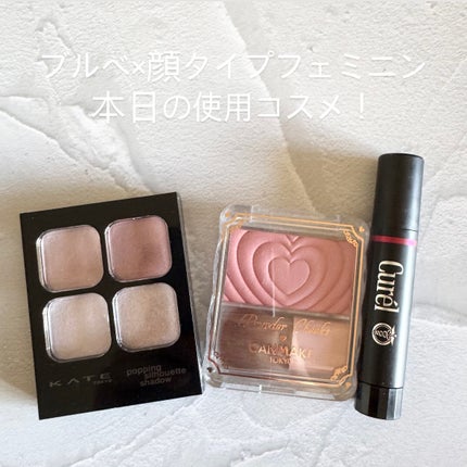 ケイト ポッピングシルエットシャドウ/KATE/アイシャドウパレットを使ったクチコミ(1枚目)