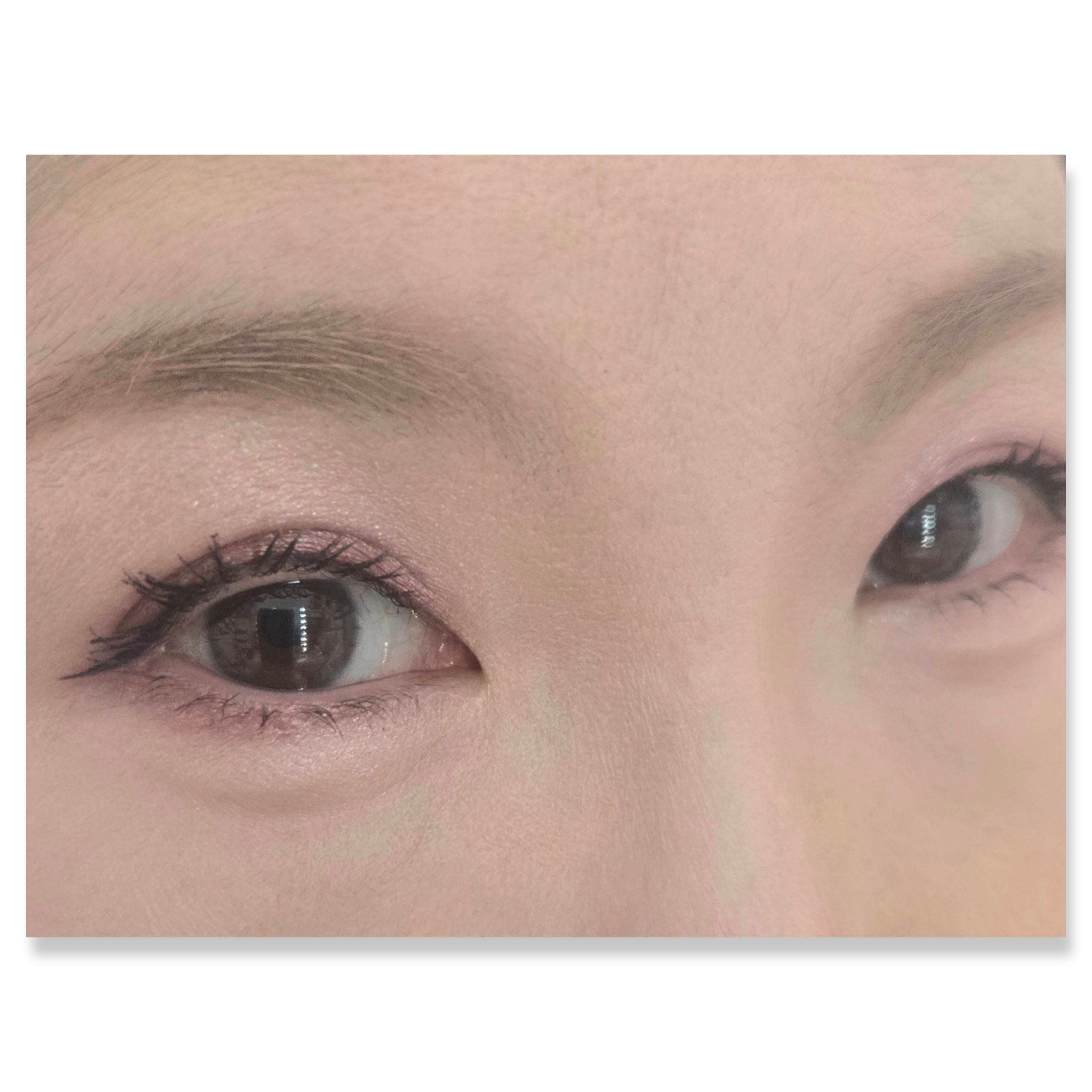 プロ アイ パレット エアー/CLIO/アイシャドウパレットを使ったクチコミ（2枚目）