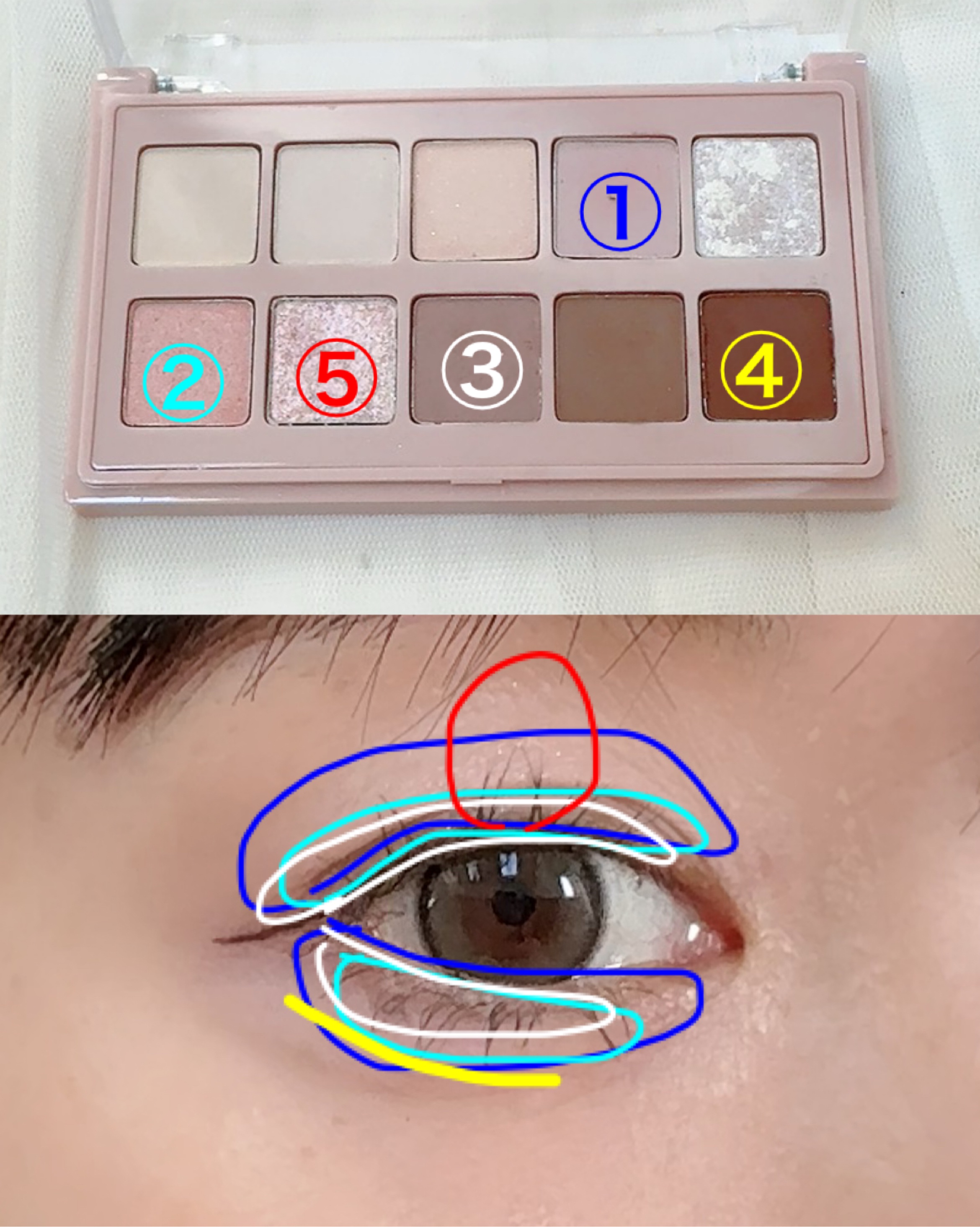 KM デイリートーンアイシャドウパレット/Kyumme/アイシャドウパレットを使ったクチコミ（3枚目）