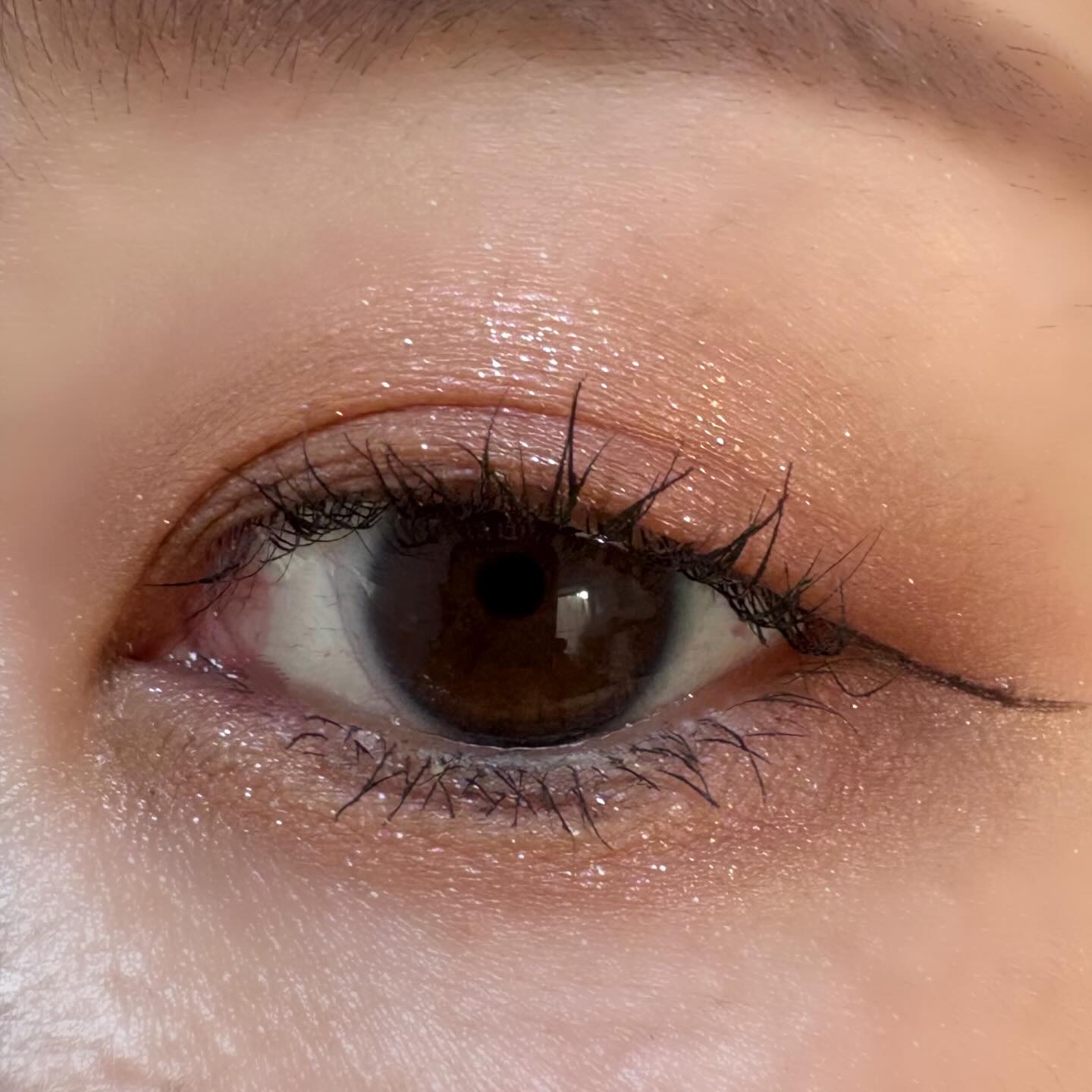 トーン ペタル フロート アイパレット 07 Timeless Rose/to/one/アイシャドウパレットを使ったクチコミ（3枚目）