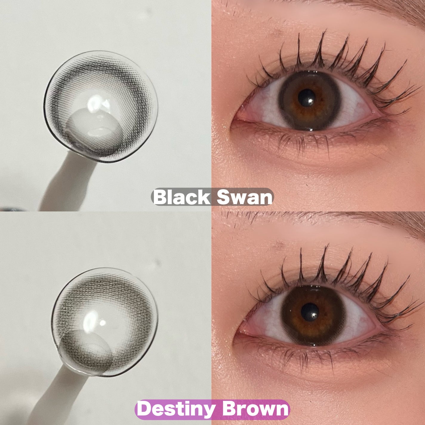 メビラージュ 1day/スウィート/ワンデー(1DAY)カラコンを使ったクチコミ(2枚目)