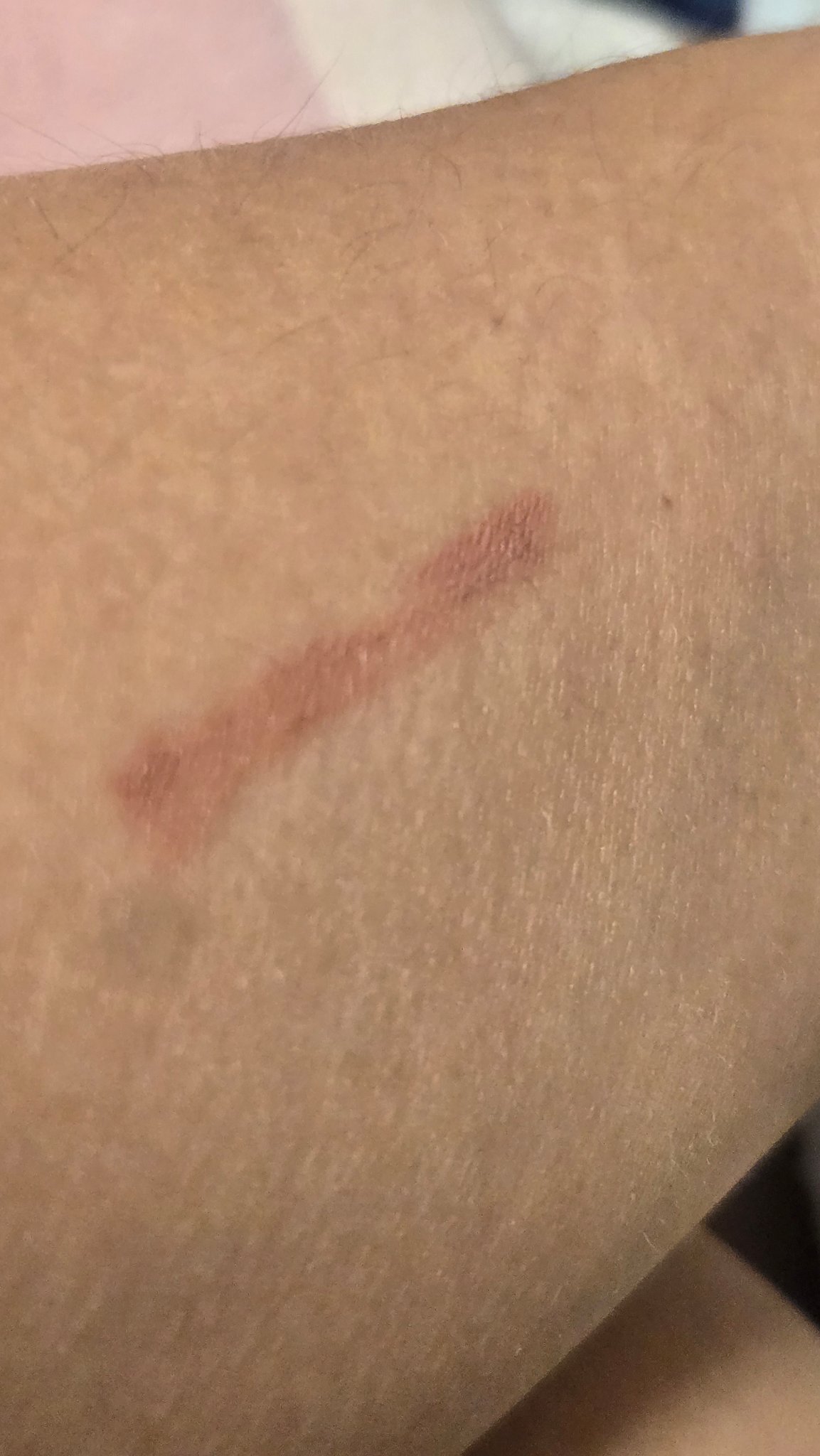 リップ ライナー/ちふれ/リップライナーを使ったクチコミ（3枚目）