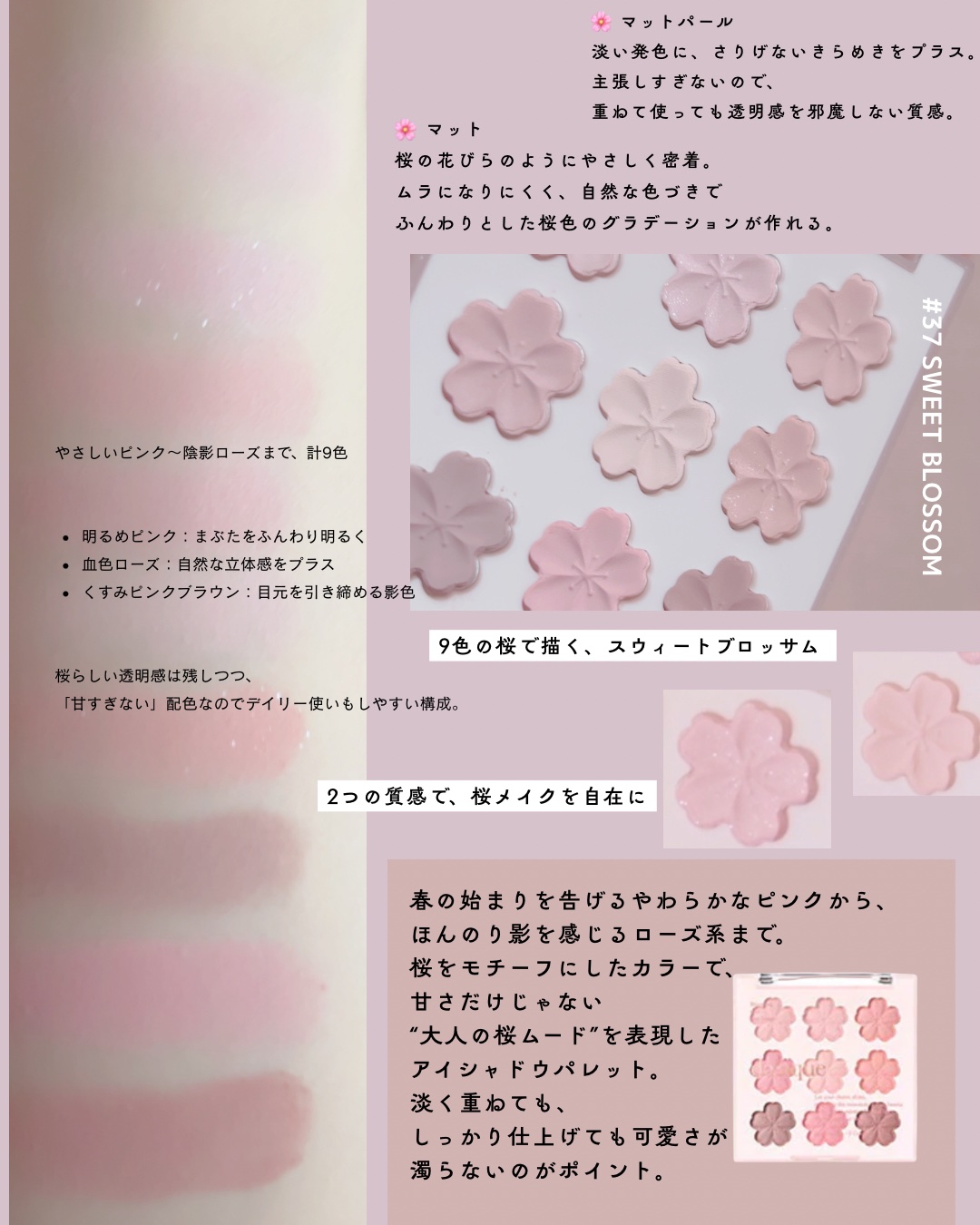 シャドウパレット/dasique/アイシャドウパレットを使ったクチコミ（3枚目）