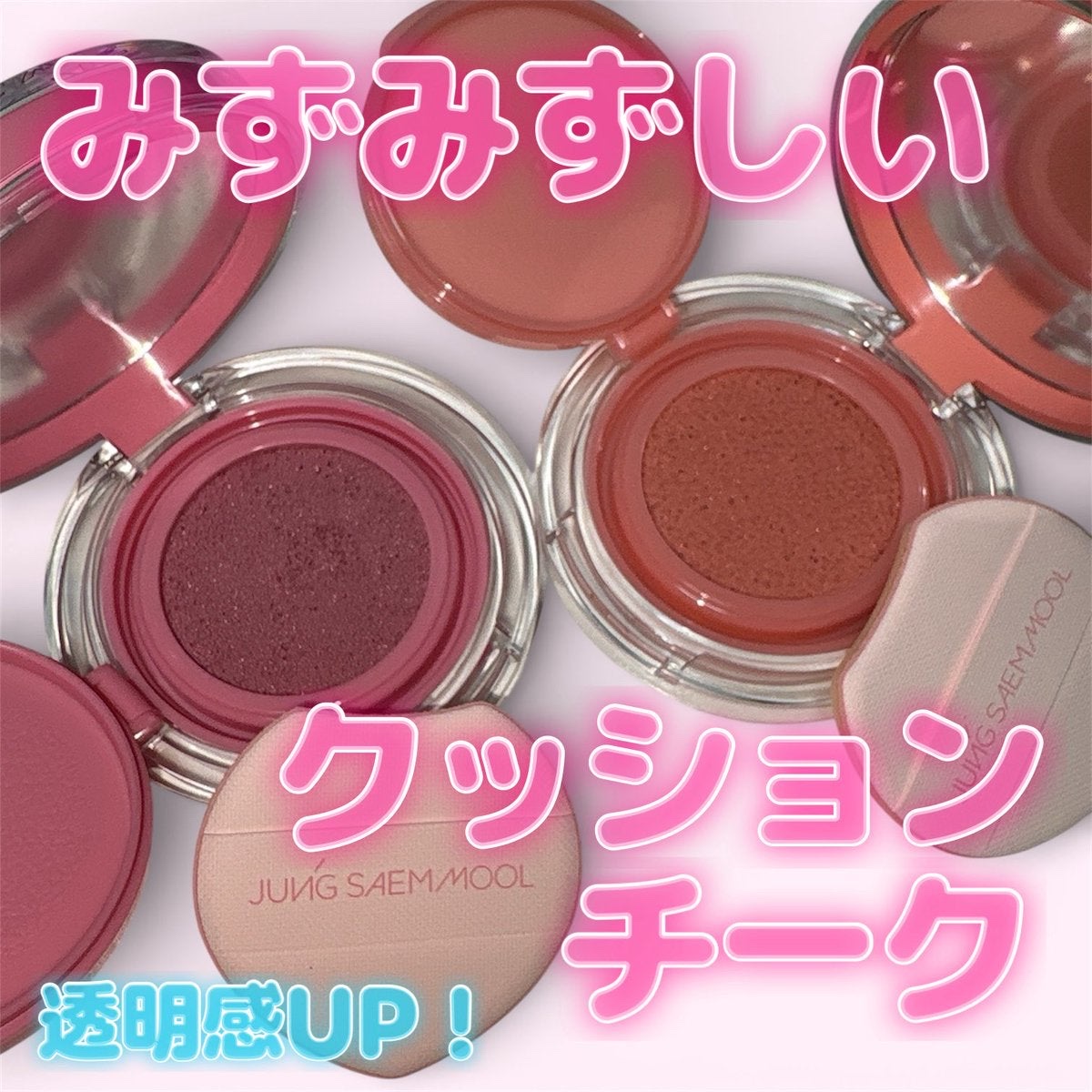 アーティストクッションブラッシュ/JUNG SAEM MOOL/リキッドチークを使ったクチコミ（1枚目）