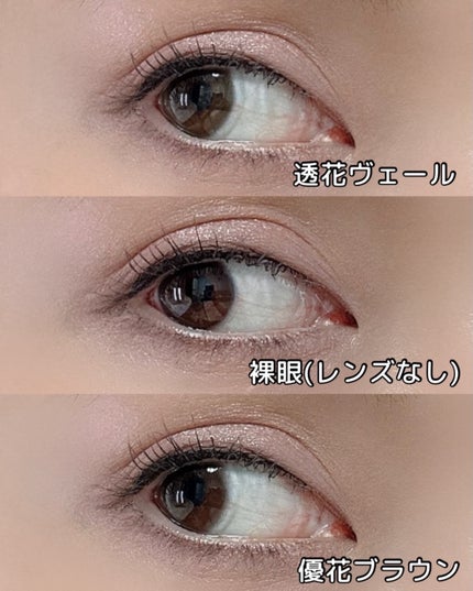 Kaica 1day 透花ヴェール(Touka Veil)/Kaica/ワンデー(1DAY)カラコンを使ったクチコミ(2枚目)