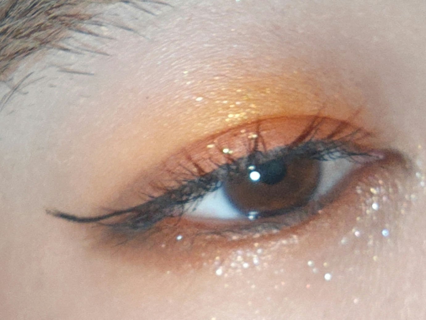 エクスプローラ12色 動物アイシャドウパレット/PERFECT DIARY/アイシャドウパレットを使ったクチコミ（3枚目）