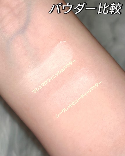シークレットビューティーパウダー/キャンメイク/プレストパウダーを使ったクチコミ(8枚目)