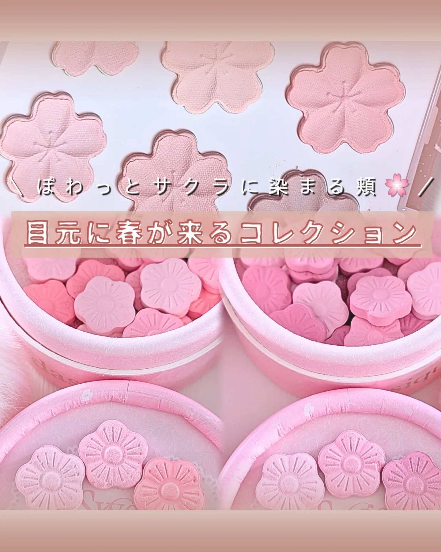 シャドウパレット/dasique/アイシャドウパレットを使ったクチコミ（1枚目）