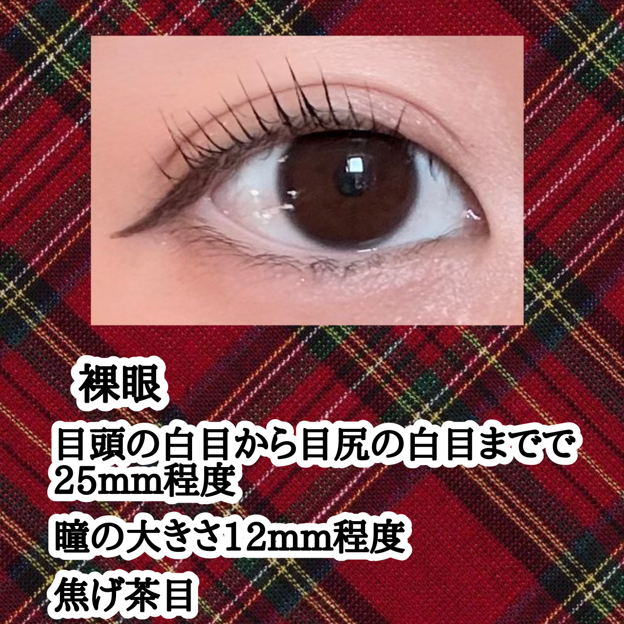 ReVIA 1month/ReVIA/１ヶ月（１MONTH）カラコンを使ったクチコミ（2枚目）