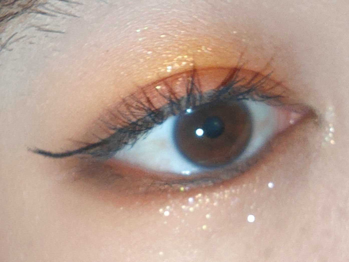 エクスプローラ12色 動物アイシャドウパレット/PERFECT DIARY/アイシャドウパレットを使ったクチコミ（2枚目）